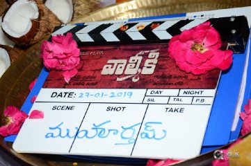 Valmiki Movie Opening Stills